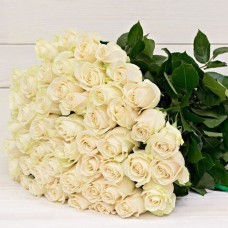 51 White Rose - 60 cm